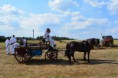 /album/a90-vyroci-sdh-sudice-18-8-2018/dsc-0473-2-jpg/